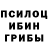Псилоцибиновые грибы GOLDEN TEACHER Aleks voff