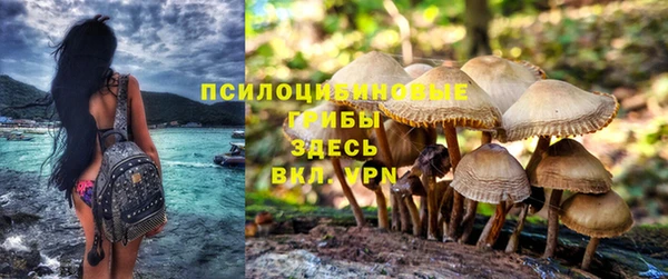 меф Пестово
