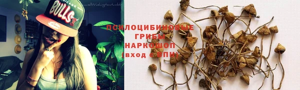 синтетический гашиш Переславль-Залесский