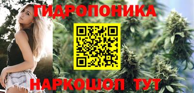 мет Гусев