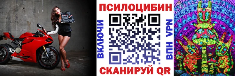 купить   Котлас  Псилоцибиновые грибы прущие грибы 