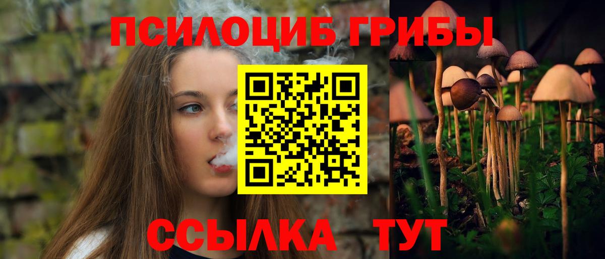 Котлас  Галлюциногенные грибы Magic Shrooms  Галлюциногенные грибы мухоморы  Вход с VPN 